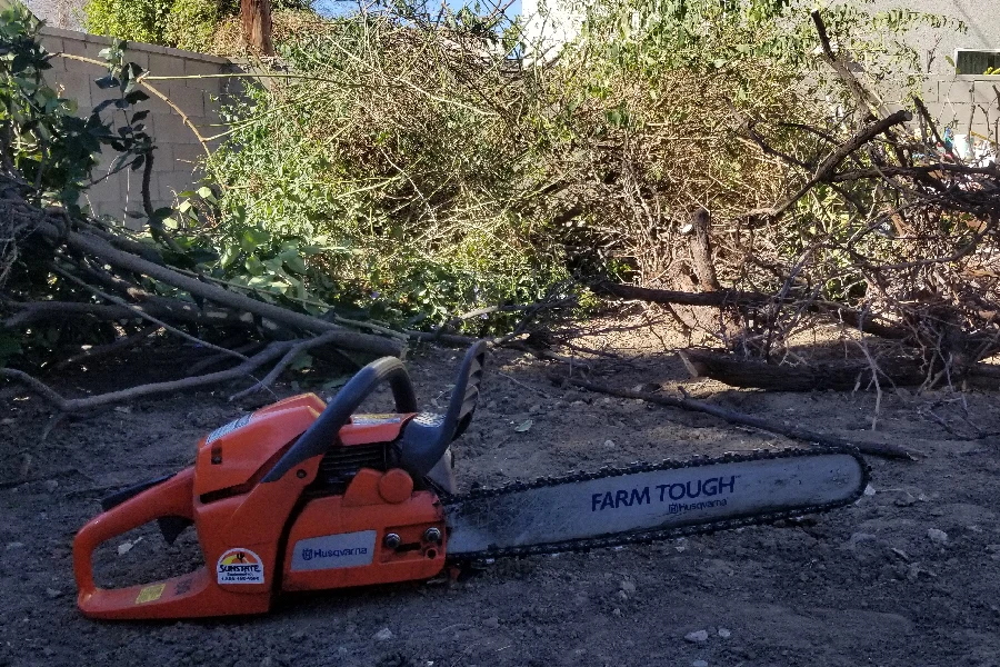 A chainsaw cutting some brush, an example of our Lawn & Garden equipment available for rent